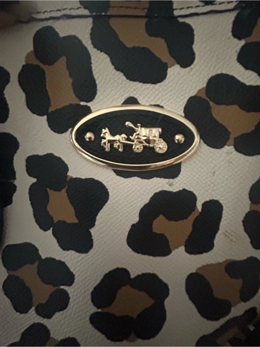 Coach tote with wallet